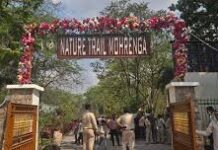 प्रकृति की गोद में रोमांच- मोहरेंगा नेचर सफारी : मोहरेंगा में जिप्सी सफारी और कॉटेज सुविधा शुरू प्रकृति की गोद में रोमांच- मोहरेंगा नेचर सफारी : मोहरेंगा में जिप्सी सफारी और कॉटेज सुविधा शुरू