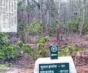 वनों की सुरक्षा को मिला नया कवच- 227 मुनारों का निर्माण पूर्ण वनों की सुरक्षा को मिला नया कवच- 227 मुनारों का निर्माण पूर्ण