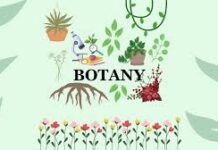 सूरजपुर : वनस्पति शास्त्र विभाग के 40 विद्यार्थियों ने किया अध्ययन भ्रमण सूरजपुर : वनस्पति शास्त्र विभाग के 40 विद्यार्थियों ने किया अध्ययन भ्रमण