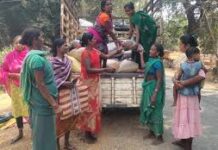 रायपुर : वनांचल की किस्मत बदलने वाली फसल साबित हुई इमली रायपुर : वनांचल की किस्मत बदलने वाली फसल साबित हुई इमली