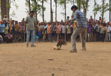 छत्तीसगढ़ के पर्यटन को राष्ट्रीय पहचान दिलाने की पहल — देशभर के टूर ऑपरेटरों ने देखी छत्तीसगढ़ की अनोखी झलक छत्तीसगढ़ के पर्यटन को राष्ट्रीय पहचान दिलाने की पहल — देशभर के टूर ऑपरेटरों ने देखी छत्तीसगढ़ की अनोखी झलक