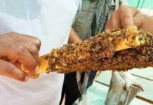 कवर्धा : मधुमक्खी पालन पर सात दिवसीय प्रशिक्षण कार्यक्रम का शुभारंभ कवर्धा : मधुमक्खी पालन पर सात दिवसीय प्रशिक्षण कार्यक्रम का शुभारंभ