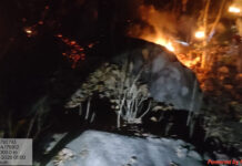 जशपुरनगर : वन विभाग की तत्परता से टली बड़ी वन क्षति जशपुरनगर : वन विभाग की तत्परता से टली बड़ी वन क्षति