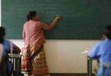 छत्तीसगढ़ के शासकीय महाविद्यालयों में 700 पदों पर भर्ती प्रक्रिया प्रारंभ छत्तीसगढ़ के शासकीय महाविद्यालयों में 700 पदों पर भर्ती प्रक्रिया प्रारंभ