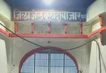 मादा गौर शिकार मामले में फरार दो आरोपी गिरफ्तार मादा गौर शिकार मामले में फरार दो आरोपी गिरफ्तार