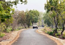 पोलमपल्ली से अरलमपल्ली सड़क बनने से खुश है ग्रामीण…नक्सल गढ़ में विकास की नई जीत पोलमपल्ली से अरलमपल्ली सड़क बनने से खुश है ग्रामीण...नक्सल गढ़ में विकास की नई जीत