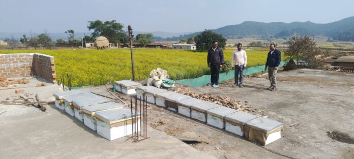 2 मधुमक्खी पालन: कम लागत में ज्यादा मुनाफे का बेहतर विकल्प