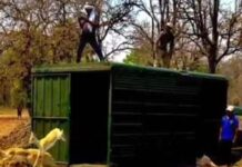 वन विभाग की बड़ी उपलब्धि : बारनवापारा का रामपुर ग्रासलैंड फिर हुआ काले हिरणों से आबाद वन विभाग की बड़ी उपलब्धि : बारनवापारा का रामपुर ग्रासलैंड फिर हुआ काले हिरणों से आबाद