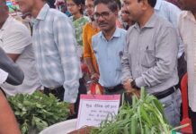 हरी खाद से बदल रही खेती की तस्वीर : कम लागत, बेहतर मुनाफा और स्वस्थ मिट्टी हरी खाद से बदल रही खेती की तस्वीर : कम लागत, बेहतर मुनाफा और स्वस्थ मिट्टी