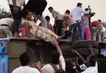 रायपुर : यात्री बस अनियंत्रित होकर पलट गई…हादसे में 12 लोग घायल रायपुर : यात्री बस अनियंत्रित होकर पलट गई...हादसे में 12 लोग घायल