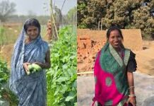 बिहान से बदली तस्वीर : खेती, उद्यम और स्वरोजगार से महिलाएं बन रहीं आत्मनिर्भर बिहान से बदली तस्वीर : खेती, उद्यम और स्वरोजगार से महिलाएं बन रहीं आत्मनिर्भर