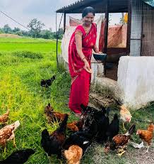 download (2) एकीकृत कृषि और आजीविका के लिए 'दीदी के बखरी' से आ रही नई क्रांति कांकेर जिले की पहल