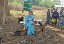 सरगुजा छेरी बैंक’ मॉडल से ग्रामीण महिलाओं को मिल रही आर्थिक आज़ादी की नई राह सरगुजा छेरी बैंक’ मॉडल से ग्रामीण महिलाओं को मिल रही आर्थिक आज़ादी की नई राह