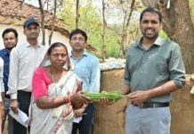 लघु धान्य रागी से समृद्धि की ओर बढ़ती शकुन बाई कुजांम लघु धान्य रागी से समृद्धि की ओर बढ़ती शकुन बाई कुजांम