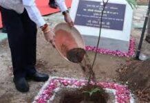 राज्यपाल रमेन डेका ने जशपुर के मातृत्व वन में किया सीता अशोक के पौधे का रोपण राज्यपाल रमेन डेका ने जशपुर के मातृत्व वन में किया सीता अशोक के पौधे का रोपण