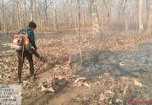 तकनीक और तत्परता से सुरक्षित हो रहे कवर्धा के जंगल तकनीक और तत्परता से सुरक्षित हो रहे कवर्धा के जंगल