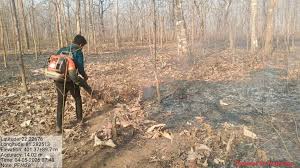 download (2) तकनीक और तत्परता से सुरक्षित हो रहे कवर्धा के जंगल