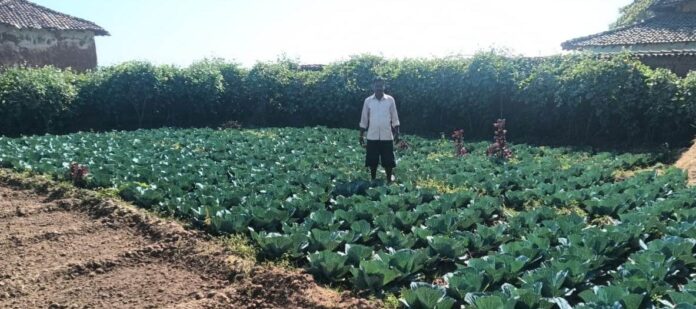 download (3) डबरी बनी स्थायी आजीविका का आधार : जल संरक्षण के साथ बढ़ी आय