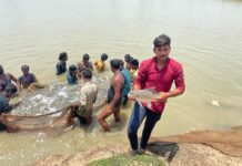 माड़पाल के बूढ़ा तालाब में उपजी खुशहाली, मछुआ समूह की बदली तकदीर माड़पाल के बूढ़ा तालाब में उपजी खुशहाली, मछुआ समूह की बदली तकदीर