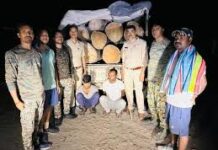 ’अवैध लकड़ी परिवहन पर बड़ी कार्रवाई, 8 नग साल लट्ठा सहित पिकअप वाहन जब्त’ ’अवैध लकड़ी परिवहन पर बड़ी कार्रवाई, 8 नग साल लट्ठा सहित पिकअप वाहन जब्त’