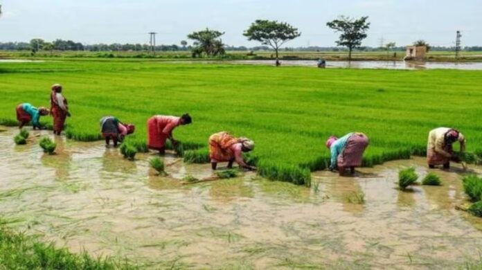 विशेष लेख : मिट्टी की सौंधी महक, परंपराओं की खुशबू और लोकजीवन की मिठास