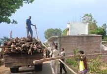 गौरेला क्षेत्र में सागौन की अवैध कटाई पर वन विभाग की बड़ी कार्रवाई गौरेला क्षेत्र में सागौन की अवैध कटाई पर वन विभाग की बड़ी कार्रवाई