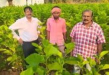 धमतरी में रेशम की चमक : ‘सिल्क समग्र-2’ से संवर रही ग्रामीणों की तकदीर, किसान बन रहे आत्मनिर्भर धमतरी में रेशम की चमक : 'सिल्क समग्र-2' से संवर रही ग्रामीणों की तकदीर, किसान बन रहे आत्मनिर्भर