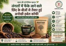 बस्तर की नई वैश्विक पहचान: जंगलों में फेंके जाने वाले छिंद के बीजों से तैयार हुई अनोखी हर्बल कॉफी बस्तर की नई वैश्विक पहचान: जंगलों में फेंके जाने वाले छिंद के बीजों से तैयार हुई अनोखी हर्बल कॉफी