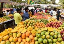 कृषि विश्वविद्यालय में 29 से 31 मई तक होगा तीन दिवसीय राष्ट्रीय आम महोत्सव कृषि विश्वविद्यालय में 29 से 31 मई तक होगा तीन दिवसीय राष्ट्रीय आम महोत्सव