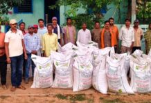 तिलहन उत्पादन बढ़ाने की दिशा में सशक्त पहल, कोटमीकला के किसानों को मिला उन्नत मूंगफली बीज तिलहन उत्पादन बढ़ाने की दिशा में सशक्त पहल, कोटमीकला के किसानों को मिला उन्नत मूंगफली बीज