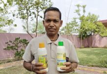 किसान हीरा सिंह ने रासायनिक खाद छोड़ अपनाया नैनो यूरिया और डीएपी,सुधरी मिट्टी की सेहत और बढ़ा उत्पादन किसान हीरा सिंह ने रासायनिक खाद छोड़ अपनाया नैनो यूरिया और डीएपी,सुधरी मिट्टी की सेहत और बढ़ा उत्पादन