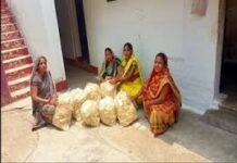 दुर्ग: चावल पापड़ उद्योग से आत्मनिर्भरता की ओर बढ़ती हुई ग्रामीण महिलाएं दुर्ग: चावल पापड़ उद्योग से आत्मनिर्भरता की ओर बढ़ती हुई ग्रामीण महिलाएं