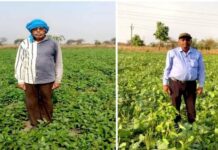 आधुनिक खेती की ओर कदम : नैनो उर्वरक और स्वीट कॉर्न ने बदली रामचंद्र की किस्मत आधुनिक खेती की ओर कदम : नैनो उर्वरक और स्वीट कॉर्न ने बदली रामचंद्र की किस्मत