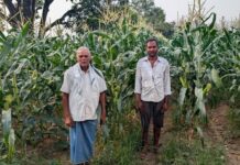 आधुनिक खेती की ओर कदम : नैनो उर्वरक और स्वीट कॉर्न ने बदली रामचंद्र की किस्मत आधुनिक खेती की ओर कदम : नैनो उर्वरक और स्वीट कॉर्न ने बदली रामचंद्र की किस्मत