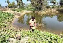 डबरी से समृद्धि : मत्स्य पालन और सब्जी उत्पादन से आत्मनिर्भर बने किसान वासम अब्बैया डबरी से समृद्धि : मत्स्य पालन और सब्जी उत्पादन से आत्मनिर्भर बने किसान वासम अब्बैया