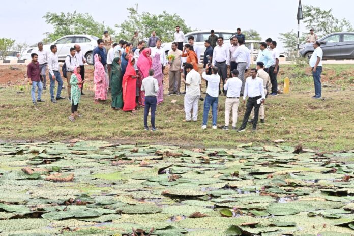 2 Makhana cultivation will become the basis of new income for farmers: Minister Ramvichar Netam