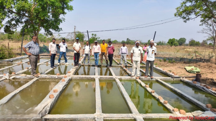 रायपुर : जिले के हजारों किसान नैनो यूरिया एवं नैनो डीएपी का उपयोग कर प्राप्त कर रहे हैं बेहतर फसल