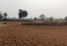 एमसीबी : अंधेरगढ़ नाला का पक्का चेक डेम बना किसानों की उम्मीद, 12.5 एकड़ खेतों को मिलेगा सिंचाई का संबल एमसीबी : अंधेरगढ़ नाला का पक्का चेक डेम बना किसानों की उम्मीद, 12.5 एकड़ खेतों को मिलेगा सिंचाई का संबल