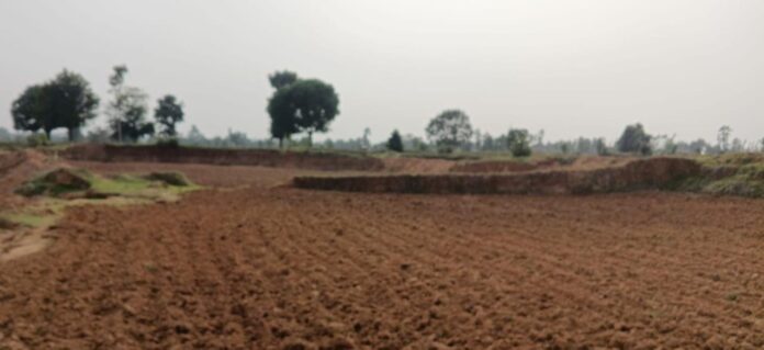 एमसीबी : अंधेरगढ़ नाला का पक्का चेक डेम बना किसानों की उम्मीद, 12.5 एकड़ खेतों को मिलेगा सिंचाई का संबल