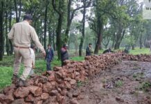 वन विभाग की बड़ी कार्रवाई: अवैध अतिक्रमण हटाकर वनभूमि कराई मुक्त, तत्काल शुरू किया गया पौधरोपण वन विभाग की बड़ी कार्रवाई: अवैध अतिक्रमण हटाकर वनभूमि कराई मुक्त, तत्काल शुरू किया गया पौधरोपण