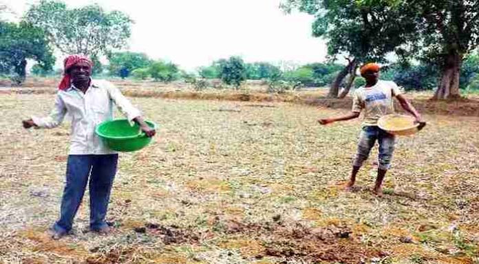 खण्ड एवम अल्प वर्षा की संभावनाओं के बीच किसानों से सरकार का अपील