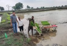 किसान अब उन्नत तकनीक की ओर अग्रसर, पैडी ट्रांसप्लांटर विधि से धान रोपाई किसान अब उन्नत तकनीक की ओर अग्रसर, पैडी ट्रांसप्लांटर विधि से धान रोपाई
