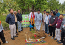जैव विविधता पार्क कांकेर के माकड़ी में औषधिय पौधों का रोपण- पारंपरिक चिकित्सा को बढ़ावा देने की नई पहल जैव विविधता पार्क कांकेर के माकड़ी में औषधिय पौधों का रोपण- पारंपरिक चिकित्सा को बढ़ावा देने की नई पहल