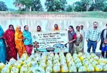 मत्स्य पालन के माध्यम से आत्मनिर्भर गांवों की ओर बढ़ता छत्तीसगढ़ मत्स्य पालन के माध्यम से आत्मनिर्भर गांवों की ओर बढ़ता छत्तीसगढ़