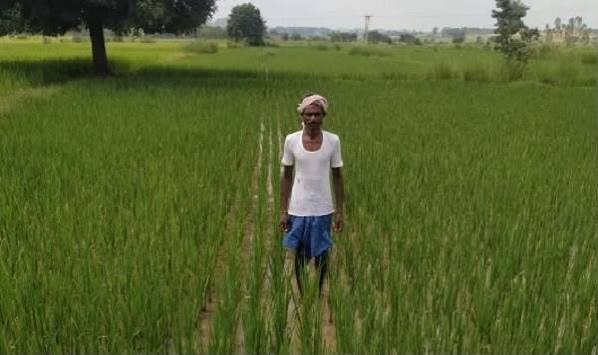 ashif खगपति ने बदला खेती का तरीका, पारंपरिक से आधुनिक कृषि अपनाकर की अपनी आय दोगुनी