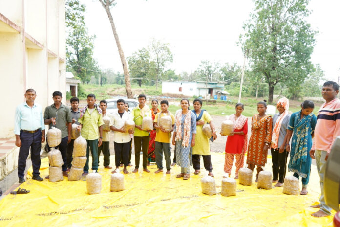 ashif सुकमा में मशरूम उत्पादन का प्रशिक्षण बना आत्मनिर्भरता की नई राह