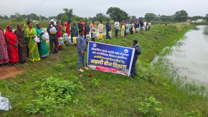 आजीविका डबरियों और नवा तरिया में मत्स्य पालन से बढ़ेंगे ग्रामीण आय के अवसर