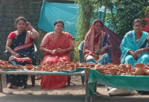 मुख्यमंत्री विष्णुदेव साय के नेतृत्व में आत्मनिर्भर बन रहीं बिहान की महिलाएं मुख्यमंत्री विष्णुदेव साय के नेतृत्व में आत्मनिर्भर बन रहीं बिहान की महिलाएं