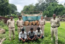 रामानुजनगर वन परिक्षेत्र में अवैध काष्ठ परिवहन पर बड़ी कार्रवाई रामानुजनगर वन परिक्षेत्र में अवैध काष्ठ परिवहन पर बड़ी कार्रवाई