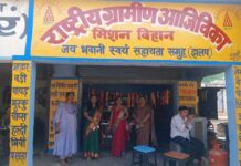 महासमुंद : सीईओ अनुपमा आनंद ने झलप में पीएम सूर्य घर योजना और बिहान समूह की आजीविका गतिविधियों का किया निरीक्षण